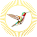 hummingbird with aura - my account