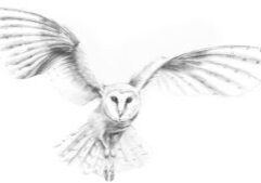 Random images for website and video (1)
