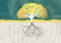 tree banner